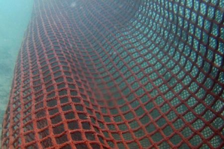 Installation-of-New-Jelly-Fish-Net